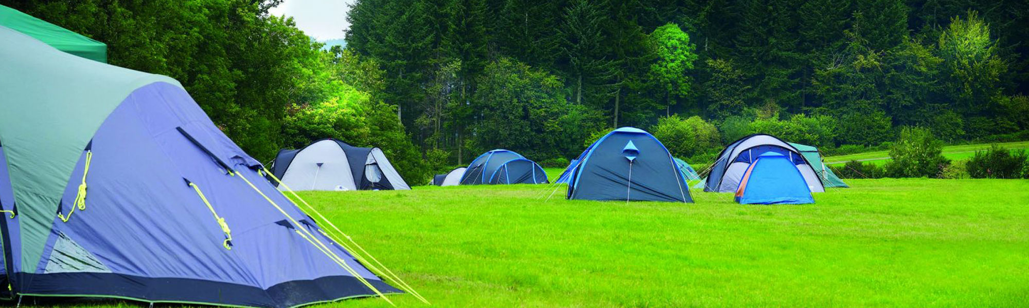 Camping, Glamping and Adventure Activities in Roscommon